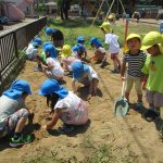 掘り起こした畑の中から・・