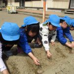 やさしく土をかけるよ