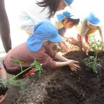 皆で協力して植えたよ！