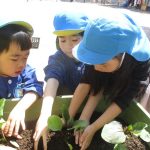 上手に植えられたね♪