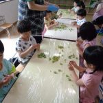 うす皮むきって、難しいね～。あっ！つるって出てきた‼