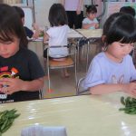 皮を押すと・・出てくる出てくる枝豆くん☆
