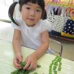 何個むけたかな♪「いち、に、さん　数えられないくらいいっぱい!!」