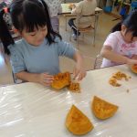 種の色は、白いんだね！柔らかいよ！
