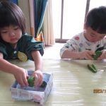 指を使って半分にしてから、小さな種を取ったよ！