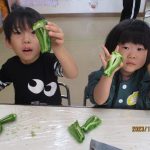 きれいに種が取れたよ(^^)/