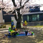 園庭の満開の桜の下でお花見🌸「寝るとよ～く見えるよ！」