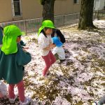 「園庭がピンク色～♡」桜の花びらじゅうたんに、みんな大喜び♪