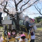 キレイな桜の木の下で、ハイ・チーズ🤗