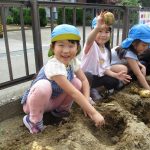 じゃがいも掘り楽しいね～♪