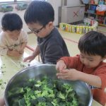 大きなボウルに集めて…給食の先生にお願いします✨