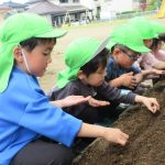 お部屋の前の畑には、人参の種を植えたよ。小さい種だから、そおっとね・・・