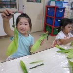 見てー！上手にできたよ！