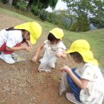 木の実を発見‼