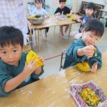 見てみて！！上手に種取れたよ✨