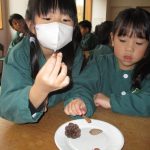 りすがかじったまつぼっくりは、エビフライみたいな形でおもしろ～い！