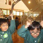 カモシカ(大人)の角‼おっきーい＆重たーい‼