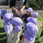 ほら！とんぼつかまえたよ。みてごらん👀