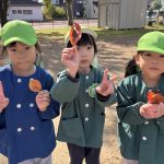 赤や黄色になった落ち葉🍂見つけたよ！