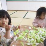 白菜はどんなにおいがするかな？♪