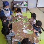 みんなで白菜を小さくちぎるよ✨